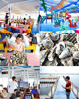 澎湖.海洋牧場.鮮蚵炭烤.海鮮粥.吃到飽.無敵海景.釣魚及餵花枝(海上皇宮)