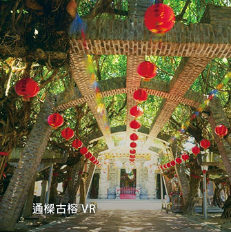 通樑古榕 VR