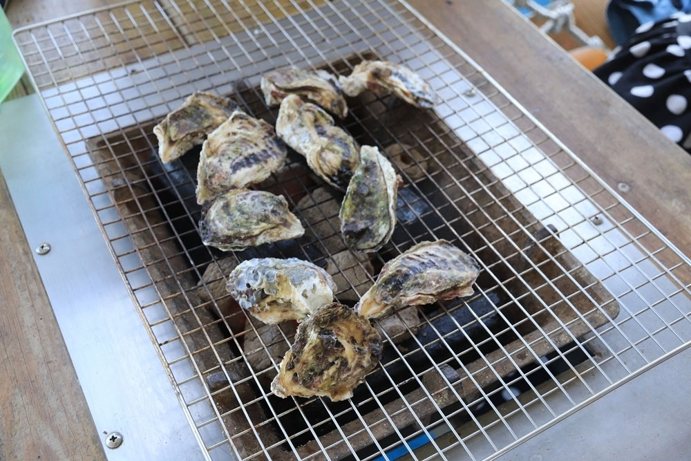 和慶半潛艇海洋牧場