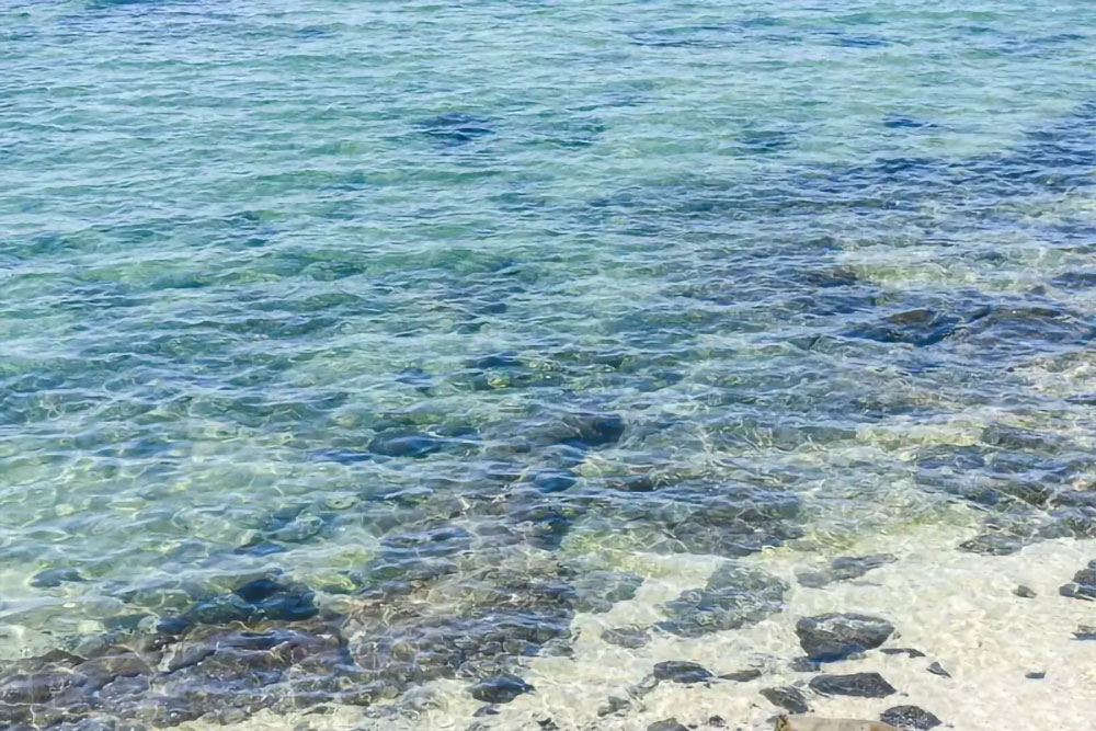 銀海東海超值一日遊