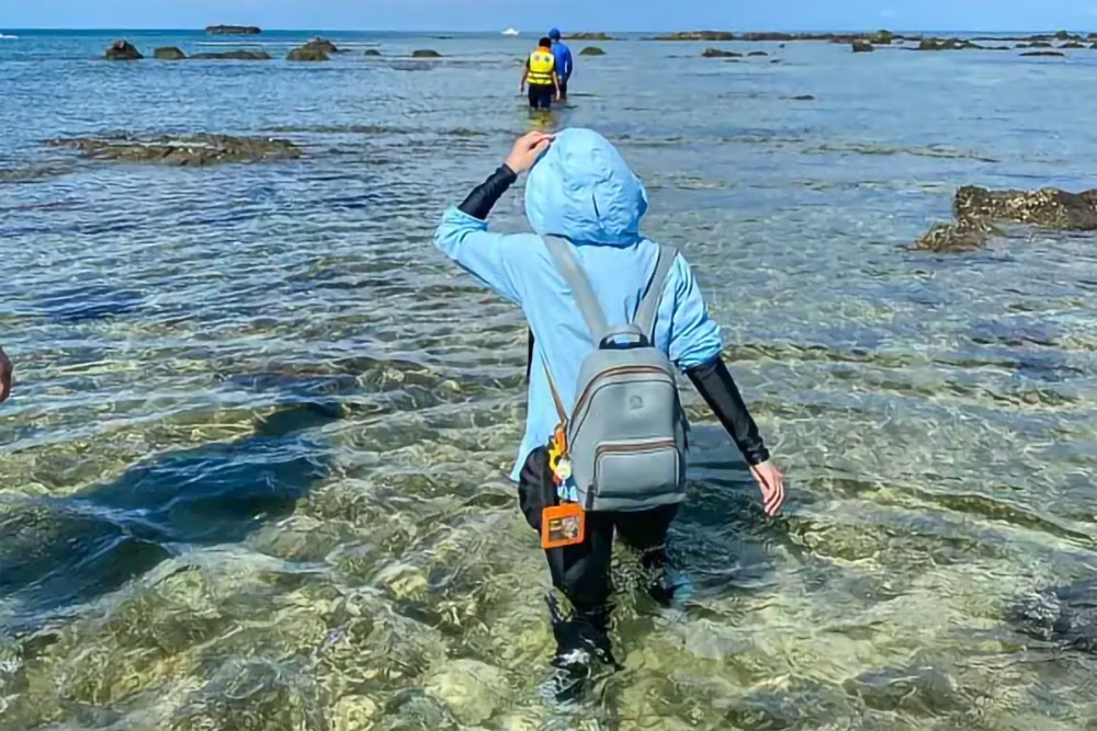銀海東海超值一日遊