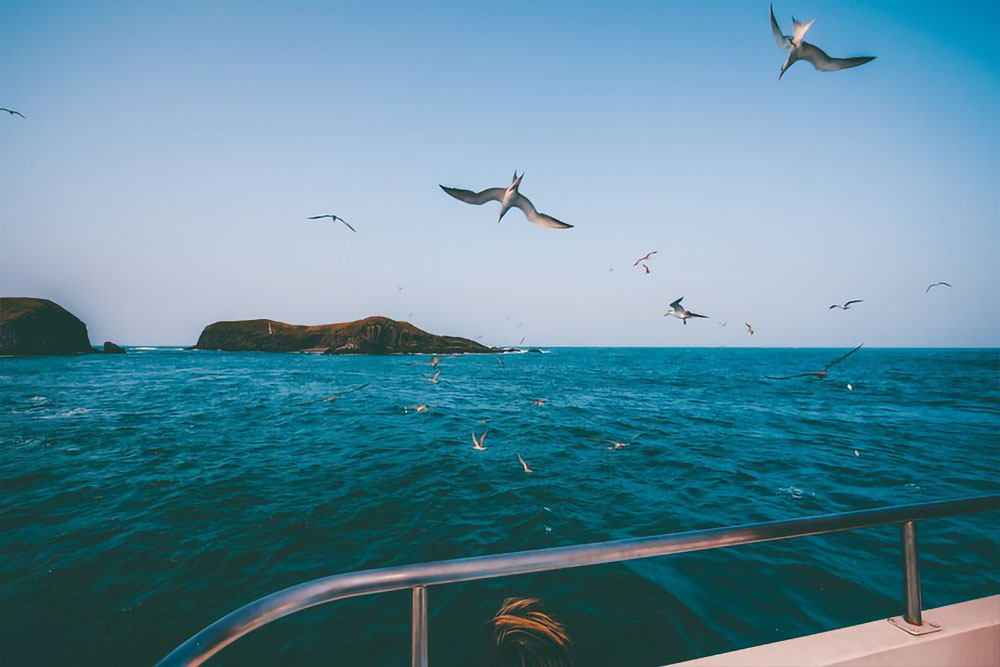 銀海東海浪漫之旅