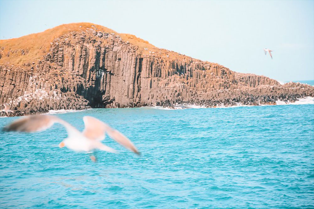 銀海東海浪漫之旅