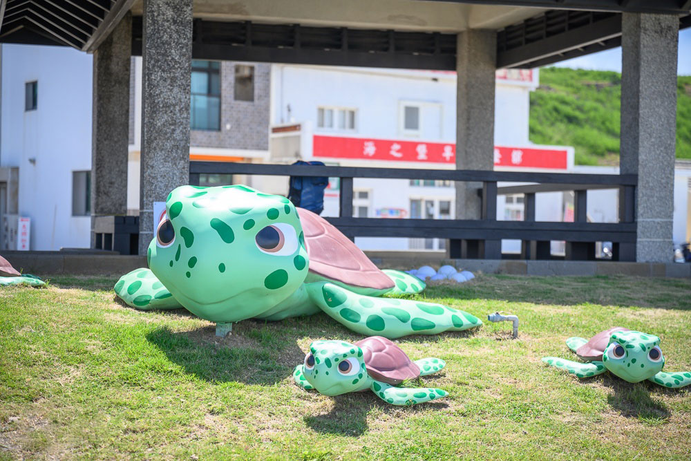 七美望安跳島一日遊+環島機車
