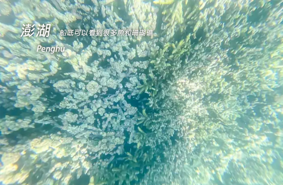 靜享暢玩６合１非動力水上活動