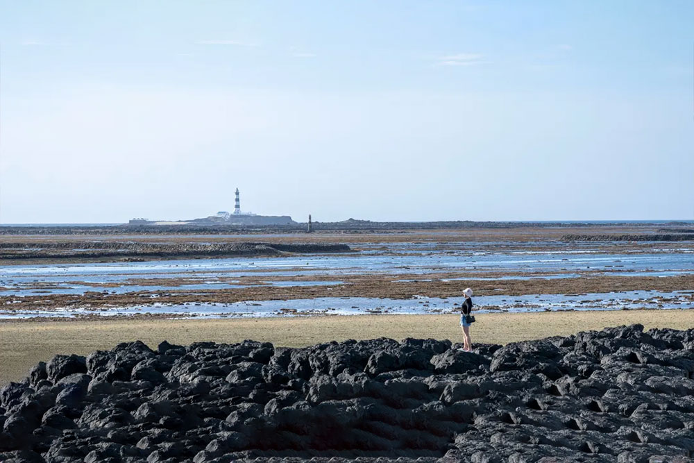 新揚北海跳島一日遊