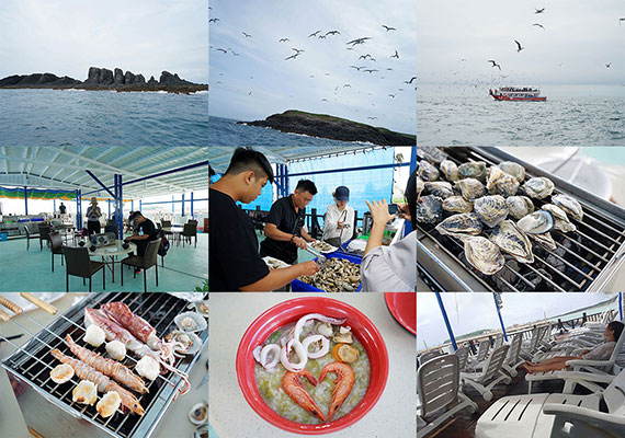 澎湖.白猿坑.白坑東海半日遊.無人島巡航賞燕鷗.碳烤鮮猛生蠔吃到飽(東海遊艇)