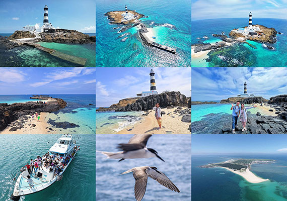 澎湖.北海目斗嶼半日遊.金嶼巡航.目斗嶼登島.險礁嶼賞海鳥.直達船(新揚快艇)