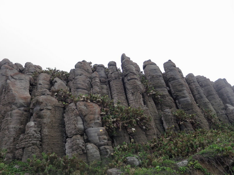金色雙島.虎井桶盤跳島遊